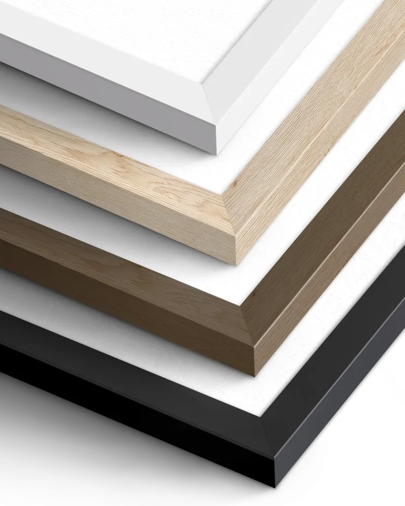 Four different colored picture frames on a white background
